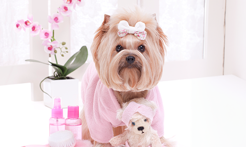 공지사항이미지1