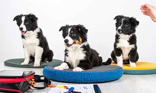 공지사항이미지2